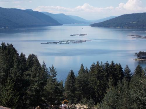 Хотел ПАНОРАМА ДОСПАТ, Dospat (foto 2)