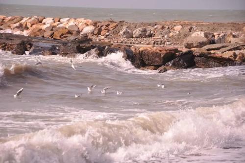 Sweet Cecina Mare