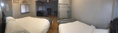 Sunbloom Beachfront Hotel and Restaurant Zambales Room Type - Superior Double or Twin Room with Garden View