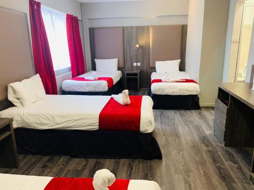 Hotel Lily - image 13