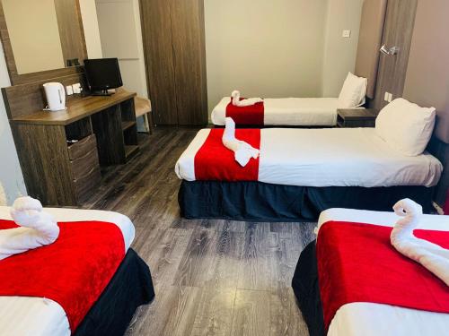 Hotel Lily - image 9