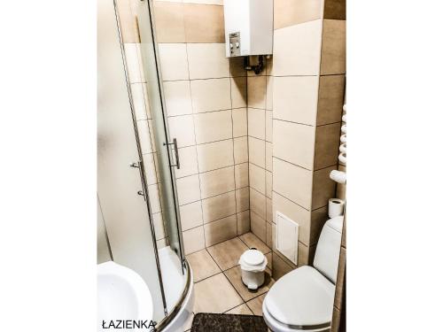 Bathroom, Apartament LENKA in Bielsko-Biala