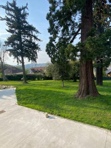 Сад, Top appartement 10 minutes de Disney in Шессі