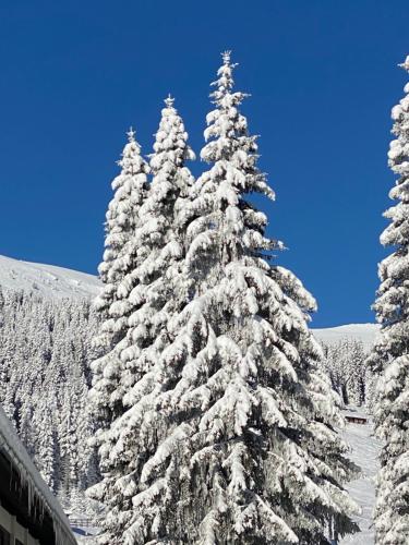 Ferienwohnung Lachtal, Pension in Lachtal bei Sankt Georgen ob Judenburg