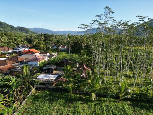 Adventure Turtle Homestay Meru Betiri in Kandangan