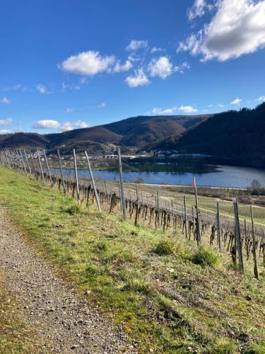 Ferienhaus Goldstück wohnen im Weinberg