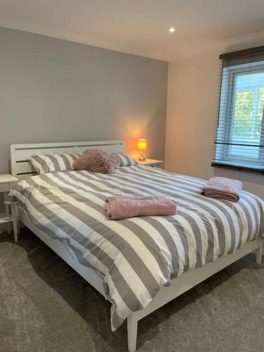 Sunny Corner - lovely 2 bedroom appt - Scorrier