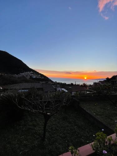 Casa Vacanze Primavera 2