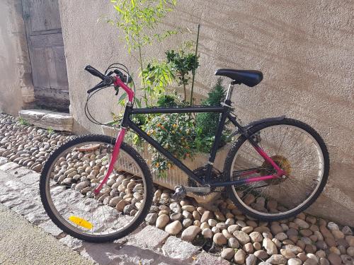 Tournus Castrum Romain - Duplex classé 3 Étoiles - petit box vélo