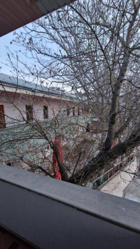 POLO – Yerevan