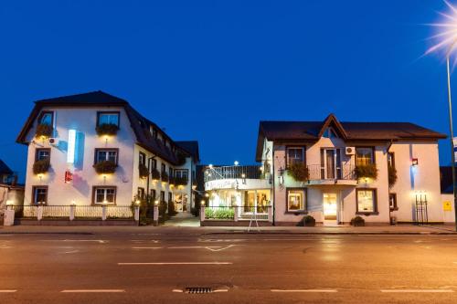 Pension Luiza - image 9