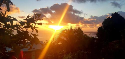 View, "SunRise Inn" Nature Island Dominica in Roseau