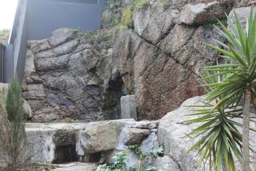 Hotel Bienestar Termas De Vizela - image 2