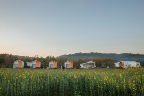 DOO KHAO in Non Din Daeng