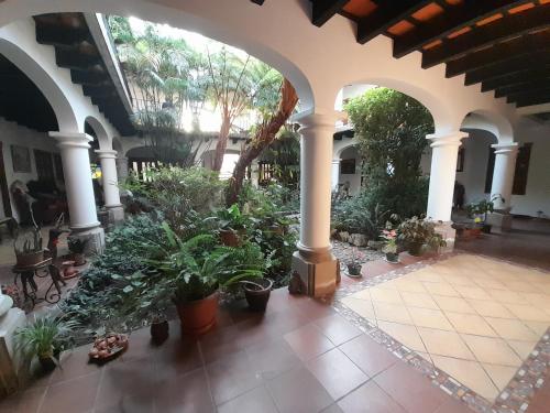 Hotel y Jardines Casa Búho, Antigua Guatemala (foto 11)