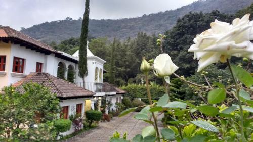 photo of Hotel Casa Buho B&B