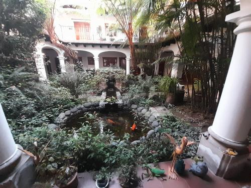 Hotel y Jardines Casa Búho, Antigua Guatemala (foto 9)