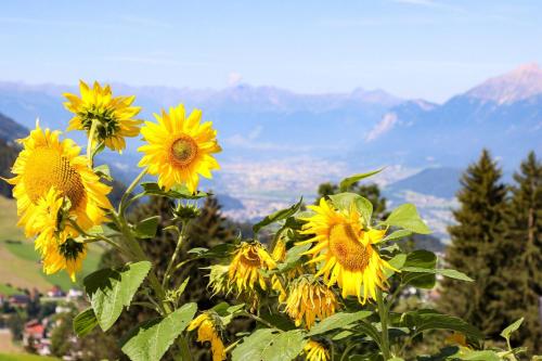Ferienwohnung Weitblick in Pill, Österreich
