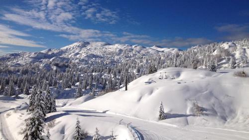 Center Aviano Comfort Suite FREE PARKING WIFI in Aviano