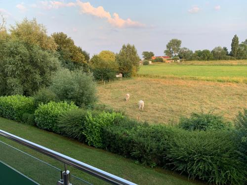 Meer mit Blick, Dat witte Hus, Rettin (fotografie 10)