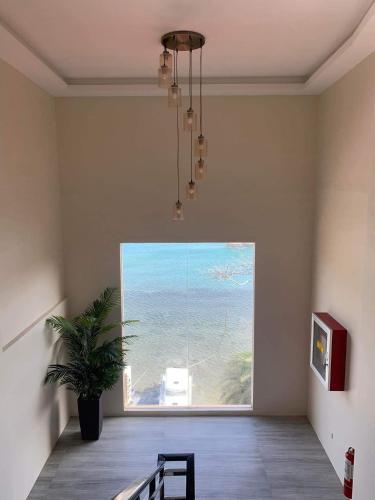 Hotel Dorotea near Muelle Pier