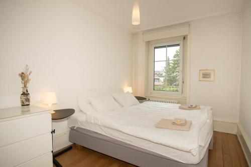 Spacious apartment next to park with free BaselCard, Basel (photo 9)