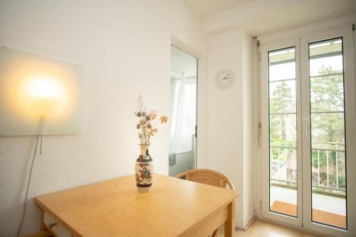 Spacious apartment next to park with free BaselCard, Basel (photo 10)
