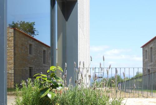 Melgaço Alvarinho Houses