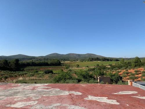 El-cortijo