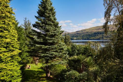 LOCH TAY HIGHLAND LODGES and GLAMPING PARK