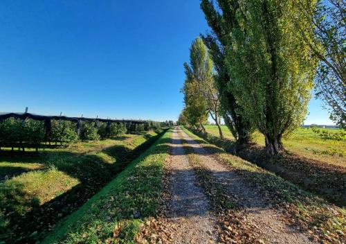 Sulla Ciclabile Apartment lungo il fiume Adige