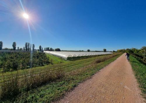 Sulla Ciclabile Apartment lungo il fiume Adige