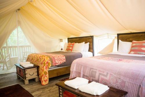 Firelight Camps - image 10