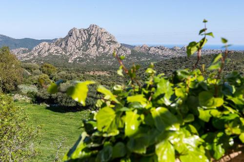 Dārzs, Appartement T2 rez de villa in Santo-Pietro-di-Tenda