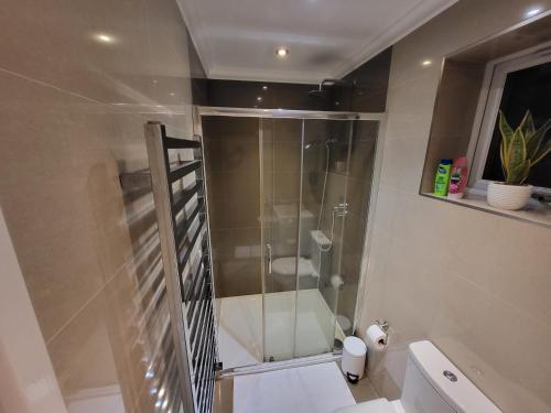 Great Apartment Next To Tooting Bec Tube Station - image 7
