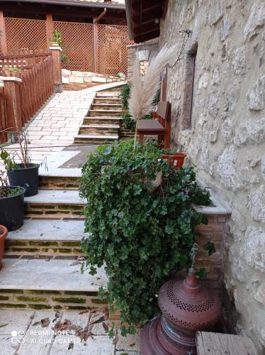 B&B Giallo Siena in Rocchetta A Volturno