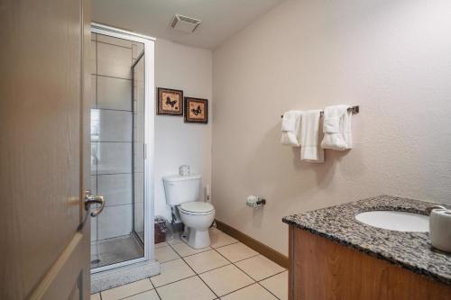 MVC - Unit 2307 - image 7