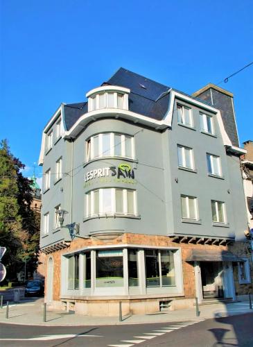Hotel L'Esprit Sain - image 9