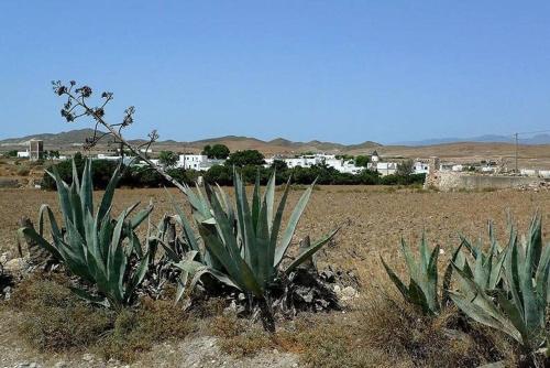 Cortijo los Garridos - 7 huéspedes