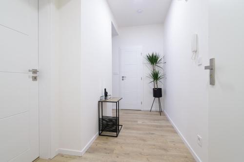 สระว่ายน้ำ, Luxury Apartments STUD - VB in มาเรียนสเก้