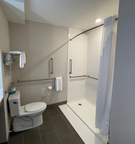 King Room with Mobility Accessible Roll-In Shower