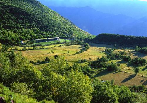 MónNatura Pirineus - AJOOO385