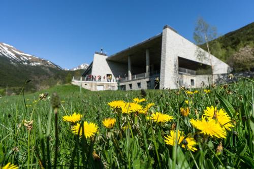 MónNatura Pirineus - AJOOO385