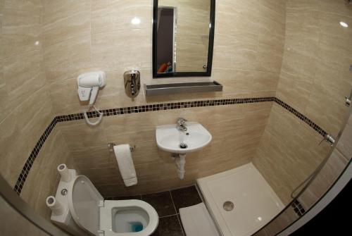 Heathrow Inn Hotel - image 5