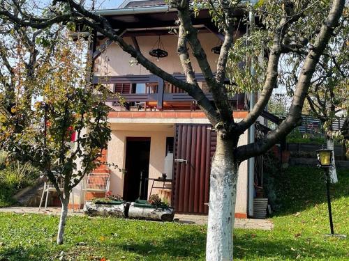 Holiday house with a parking space Krapinske Toplice, Zagorje - 20722