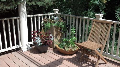 Melrose 5-bedroom house in Malden