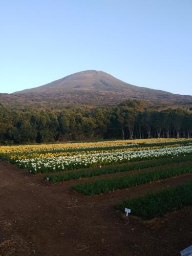 八丈島メープルハウス