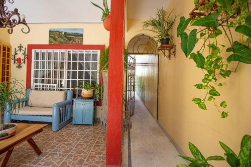 La Casa Del Almendro in Playa del Carmen, Mexico