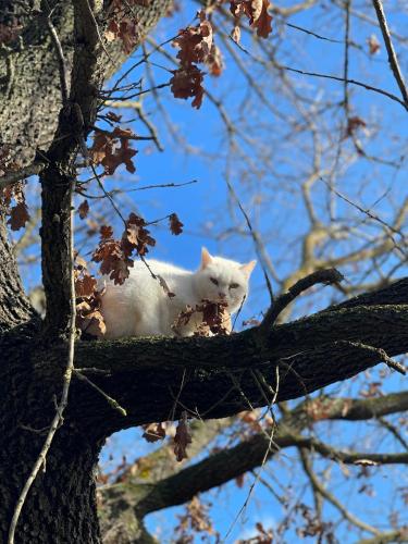 阿尔贾尔迪诺德利特池乡村民宿