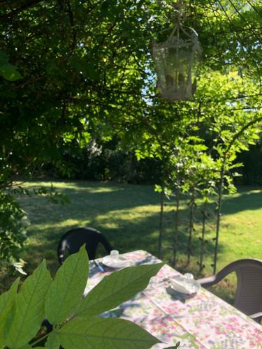 阿尔贾尔迪诺德利特池乡村民宿